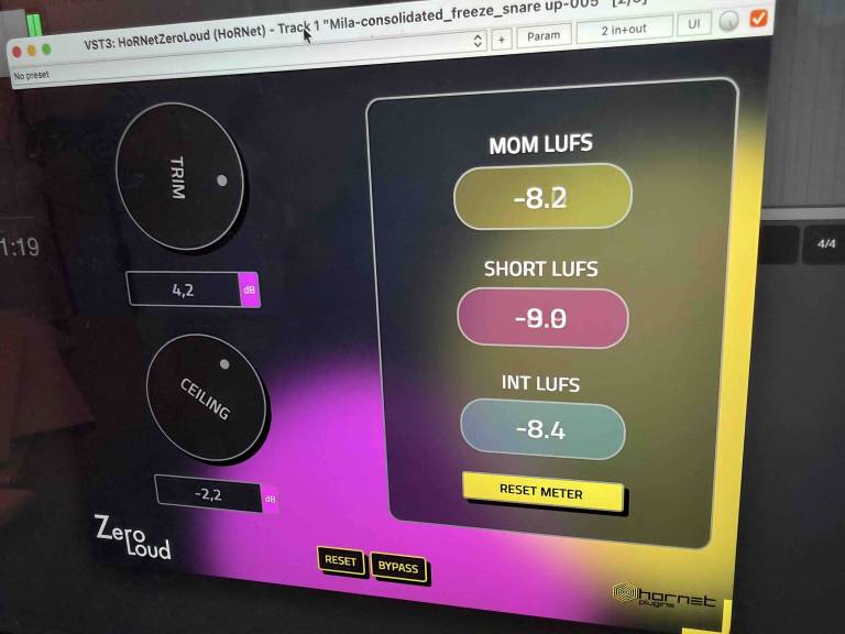 HoRNet ZeroLoud interface in a DAW