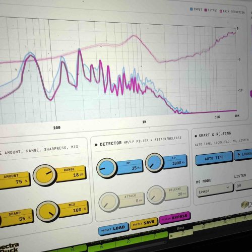 Introducing HoRNet SpectraDuck — Spectral Sidechain Ducker